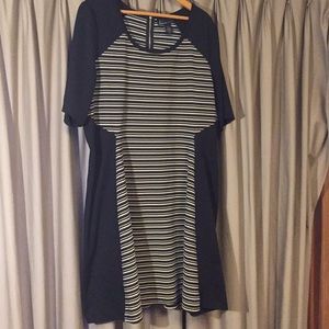 Lane Bryant comfortable business dress 22/24